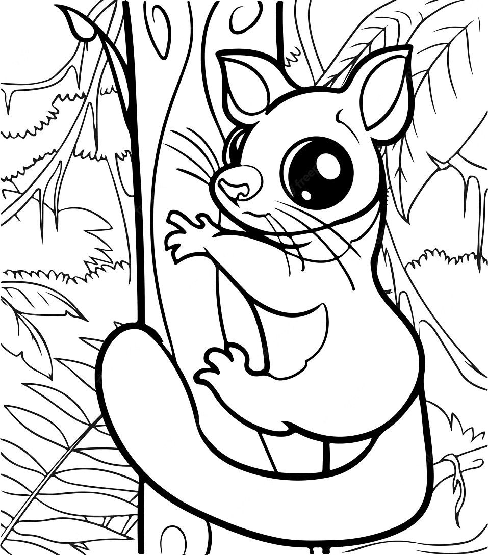 Cute Brushtail Possum Coloring Page