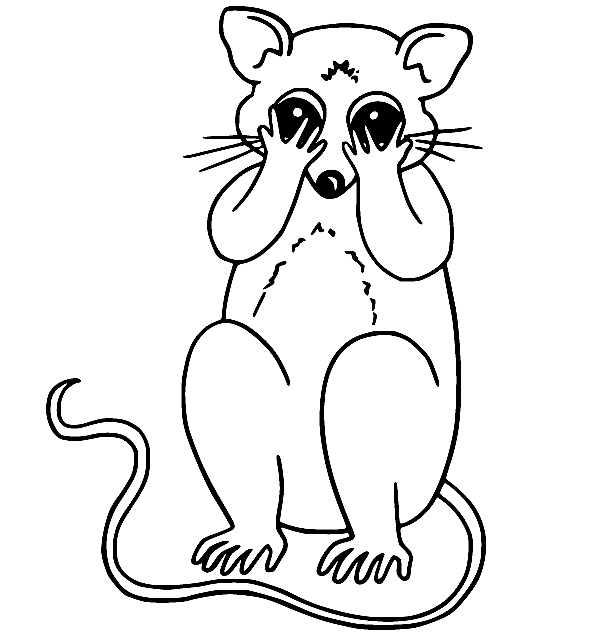 Cute Possum Coloring Pages