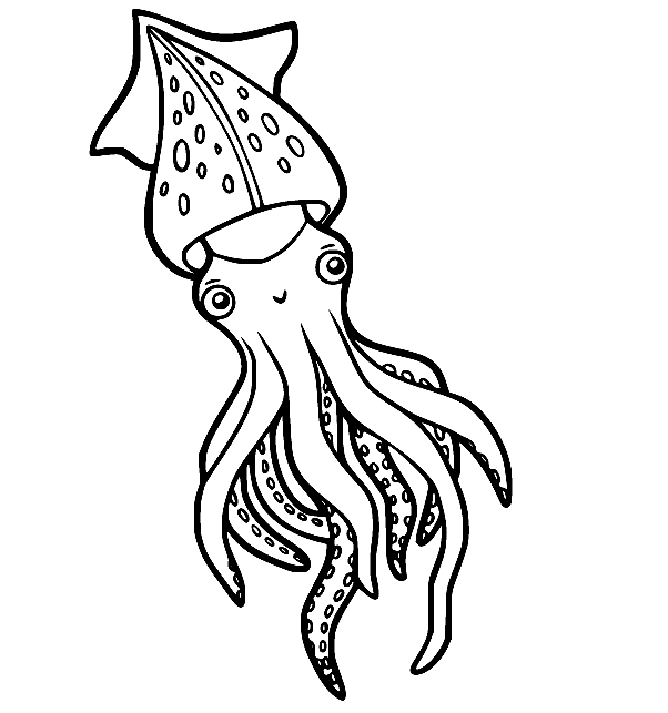 Calamar lindo de Squid