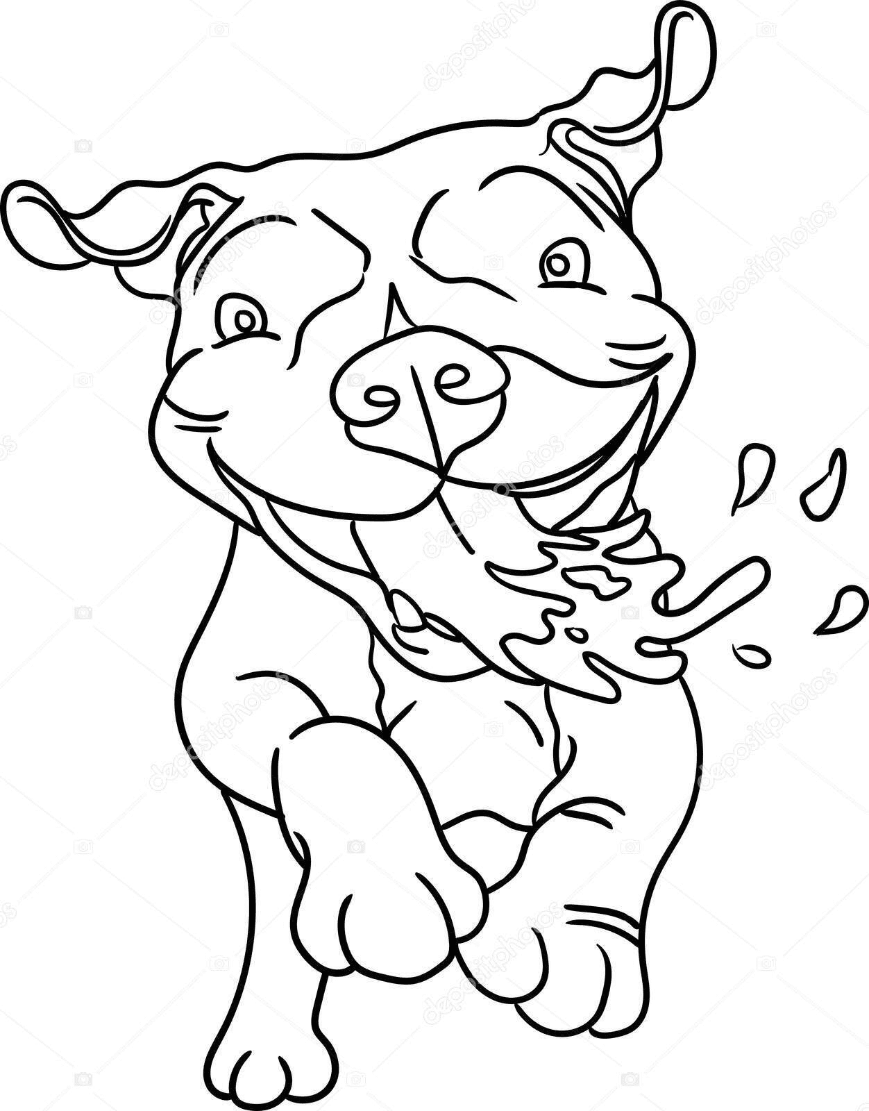 Dog Pitbull Coloring Page