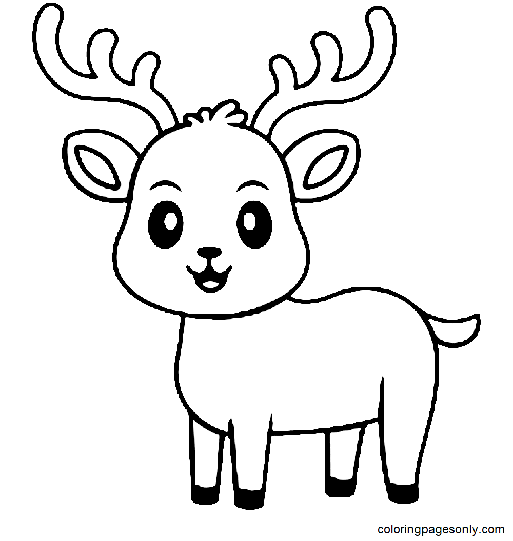 Draw Fawn for Kids Coloring Pages