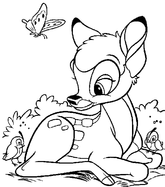 Fawn and Baby Birds from Fawn