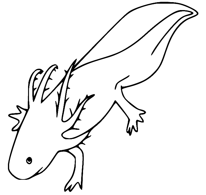 Free Axolotl Coloring Page