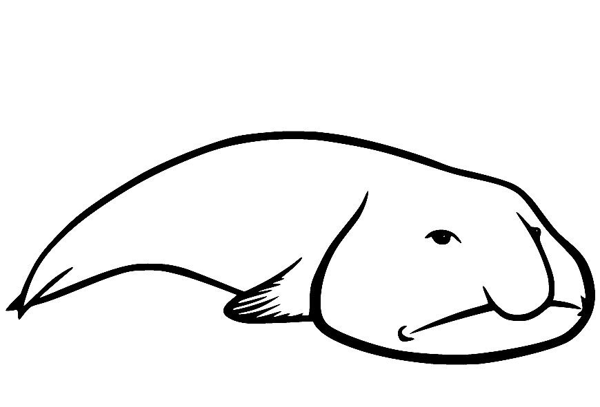 Free Blobfish Coloring Pages
