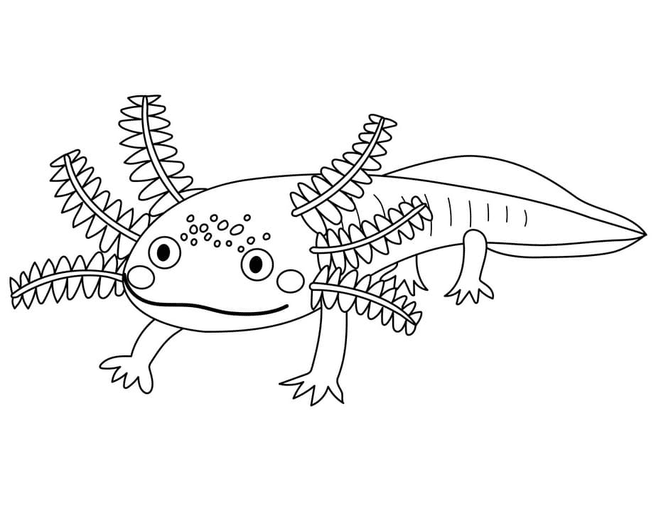 Funny Axolotl Coloring Page