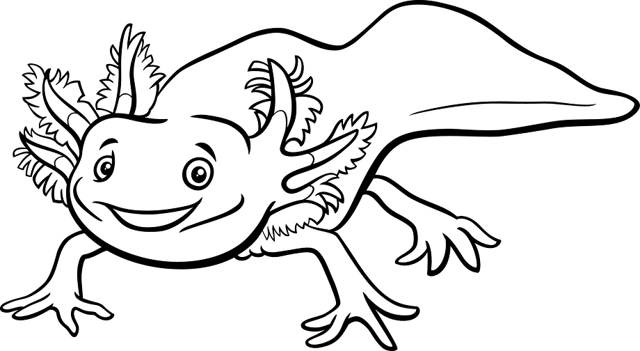 Vrolijk Axolotl dier van Axolotl