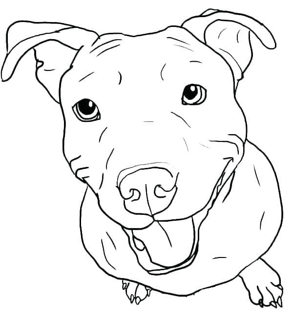 Happy Pitbull Dog Coloring Page