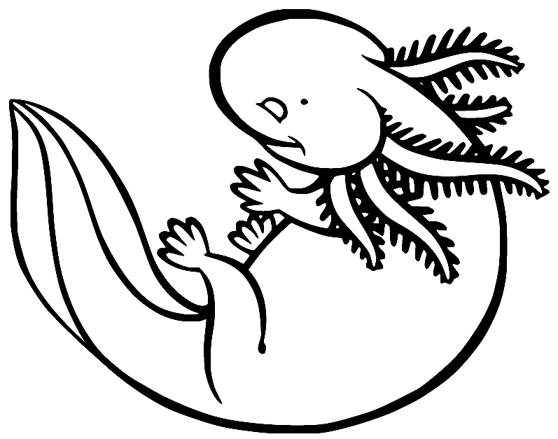 Little Axolotl Coloring Page
