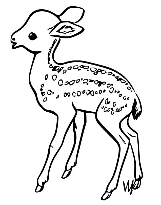 Little Fawn Coloring Pages