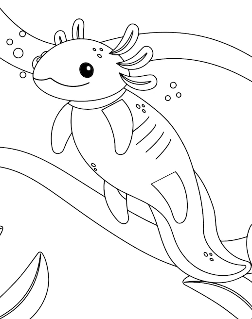 Encantador Axolotl para niños Página para colorear