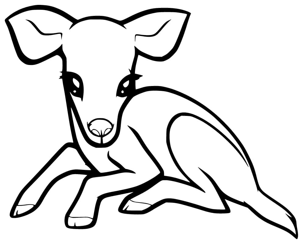 Newborn Fawn Coloring Pages