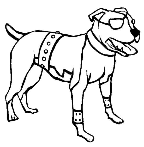 One-Eyed Pitbull Coloring Pages