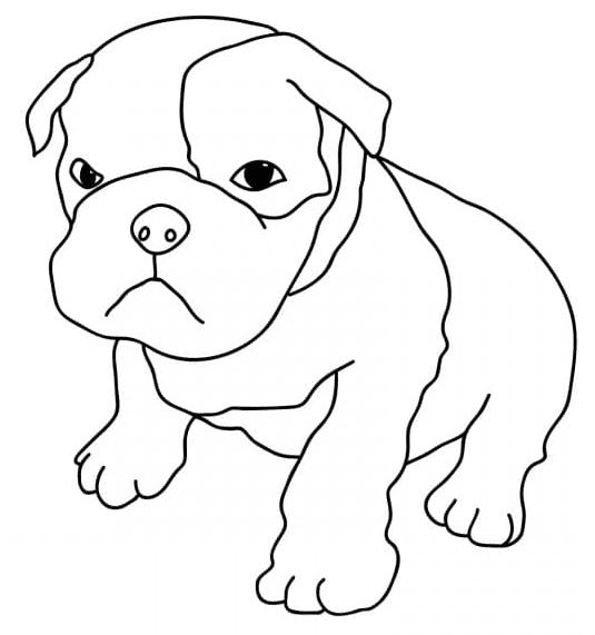 Pagina da colorare del cucciolo di Pitbull