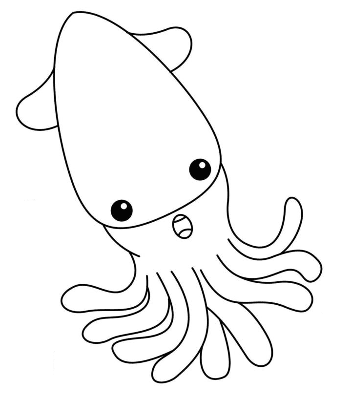 Bonito calamar de calamar