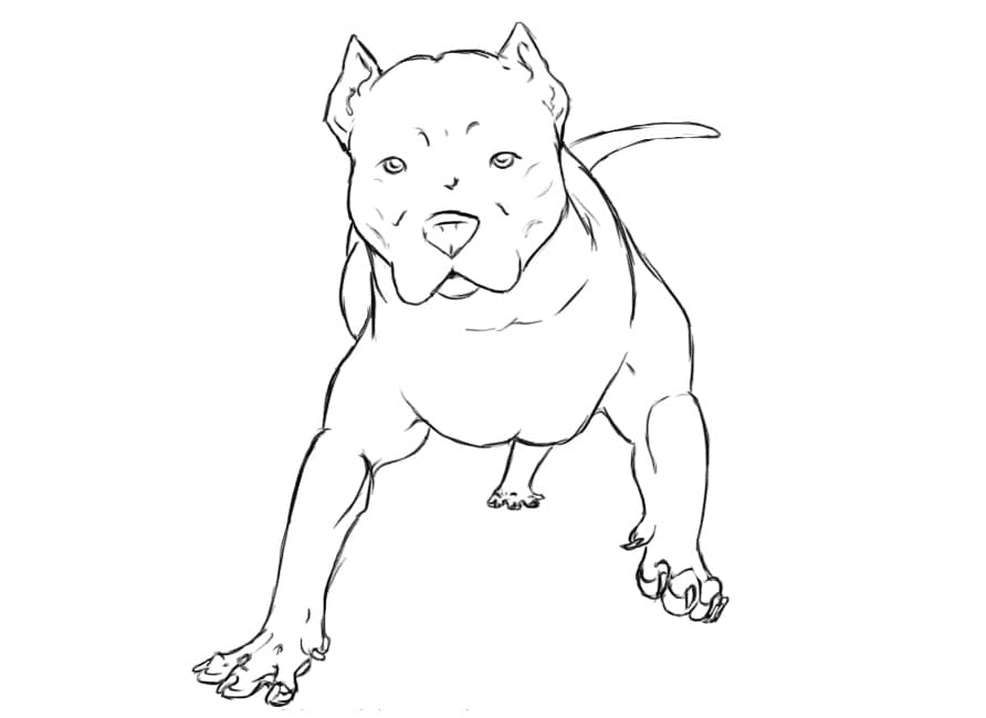 Druckbarer Pitbull-Hund von Pitbull