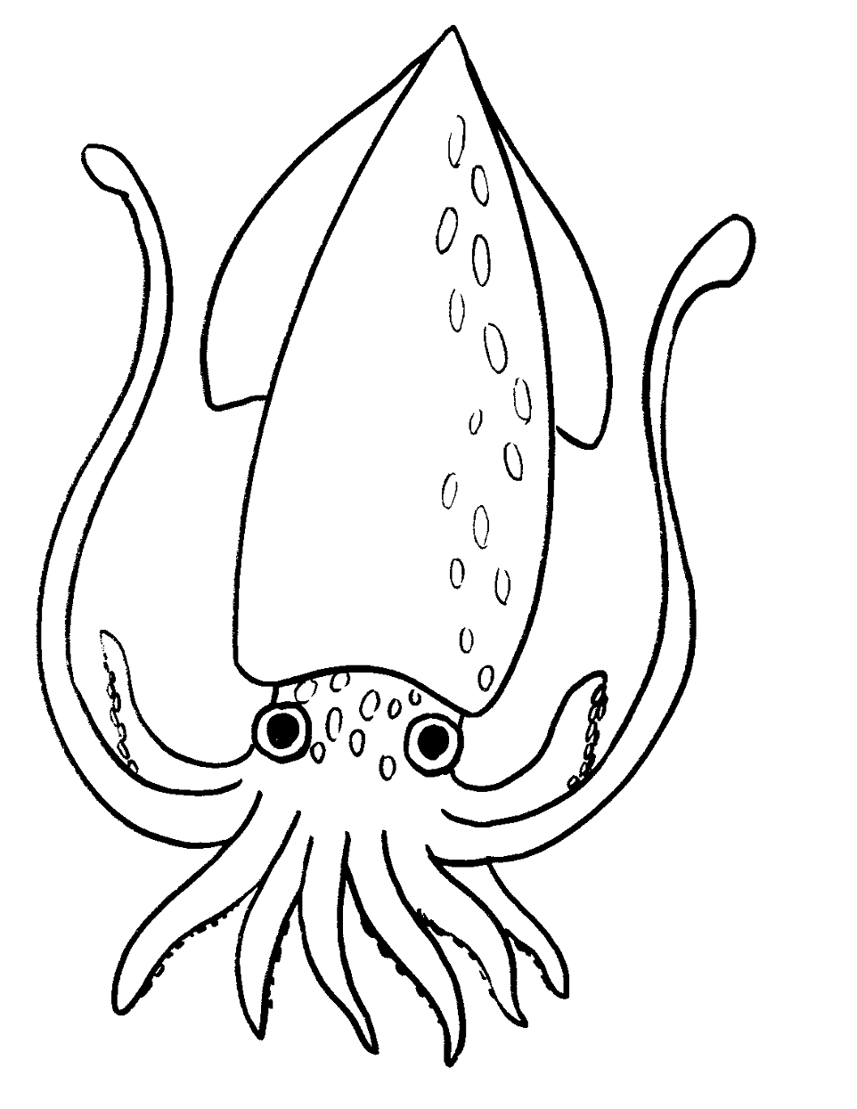 Printable Squid Free Coloring Page