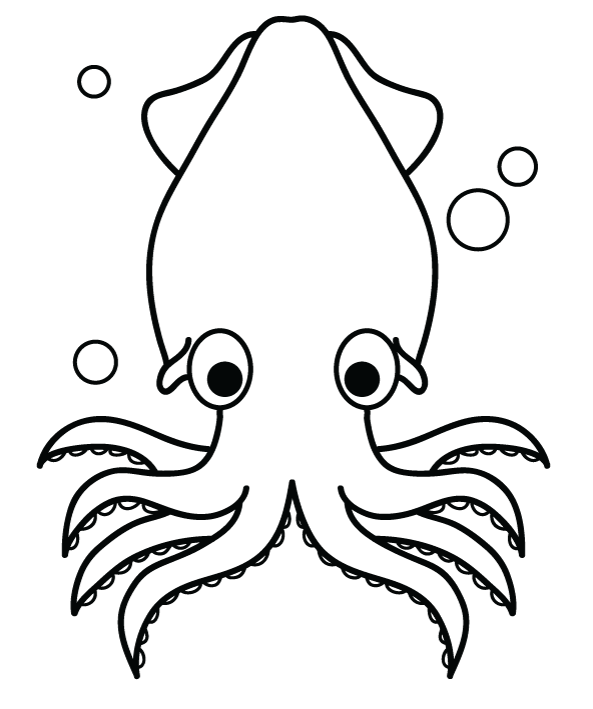 Листы кальмаров для печати от Squid