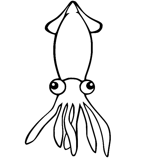 Printable Squid Coloring Page