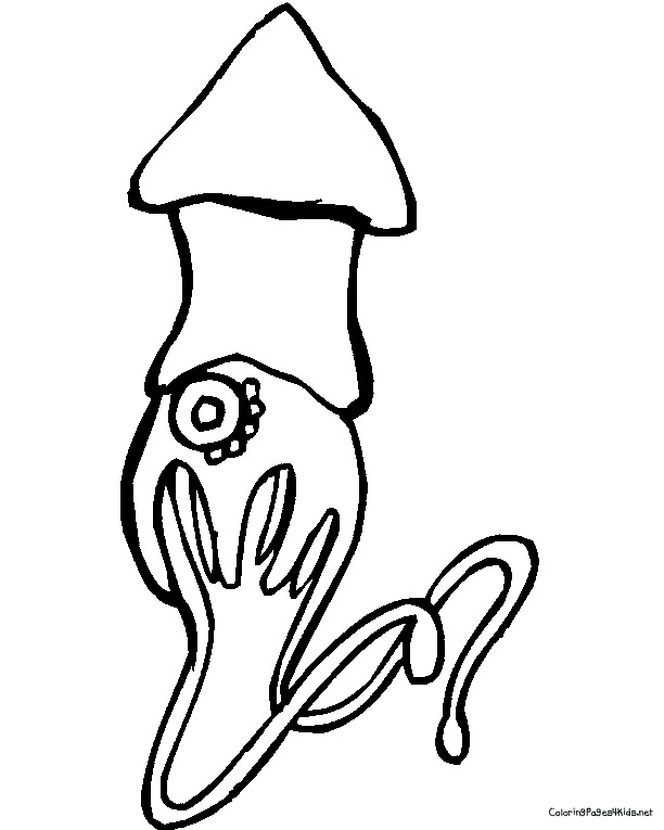 Squid Pictures Coloring Page
