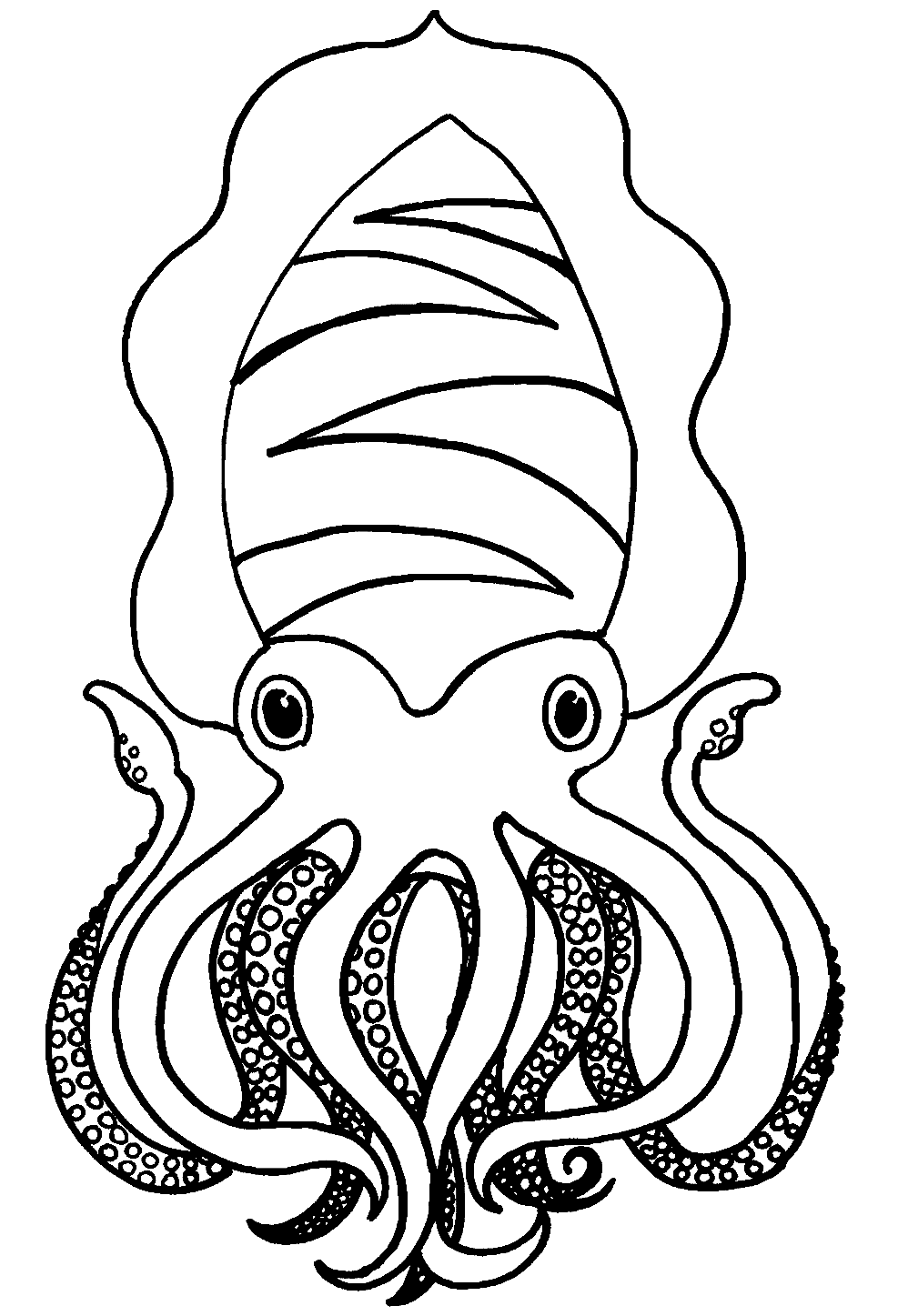 Tintenfisch zum Ausdrucken von Squid