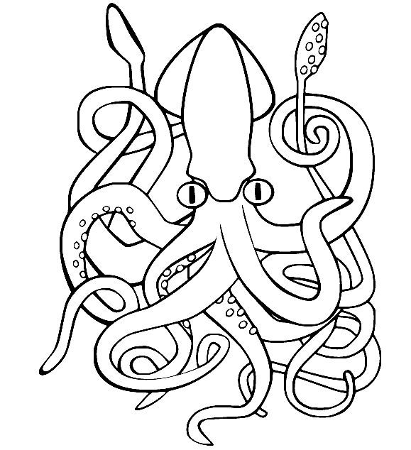 Squid Sheets Coloring Pages