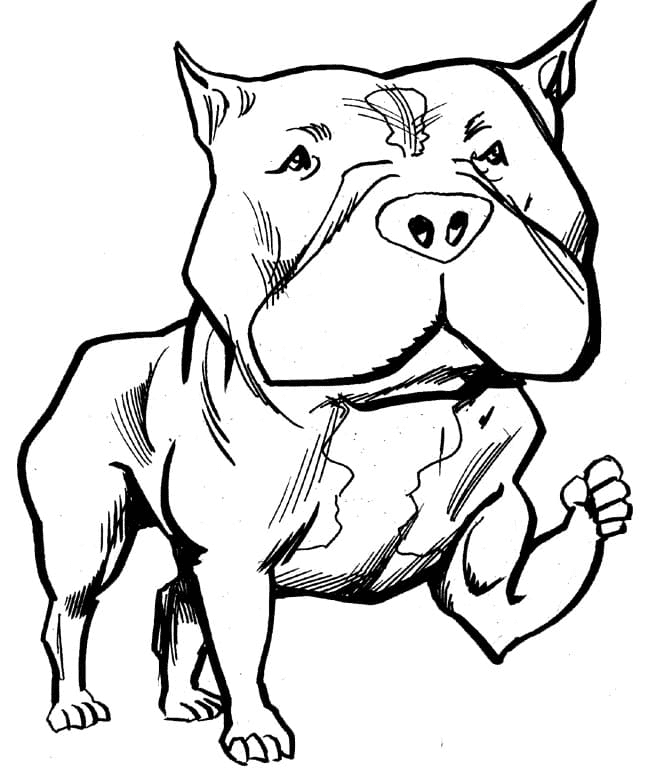Strong Pitbull Coloring Page
