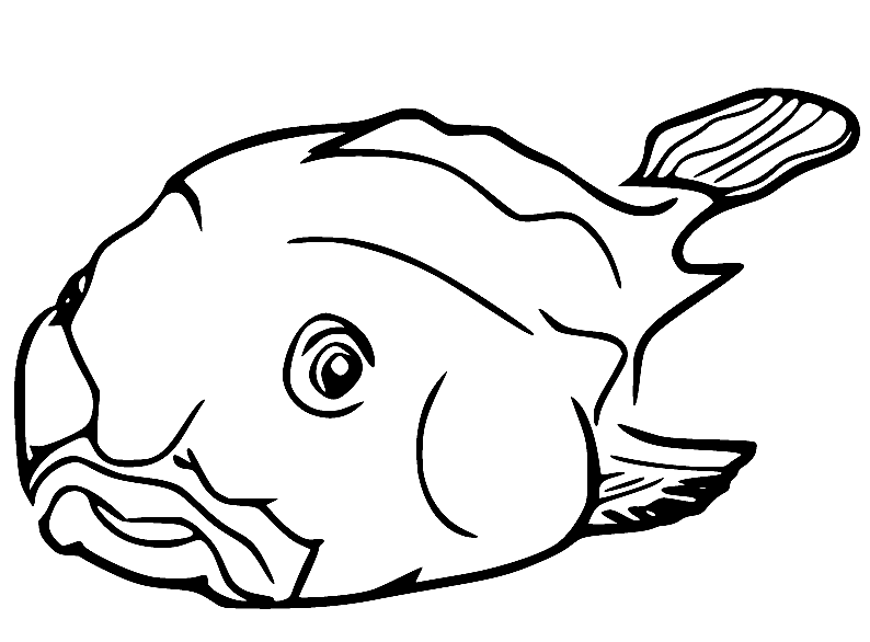 صفحة التلوين القبيحة Blobfish