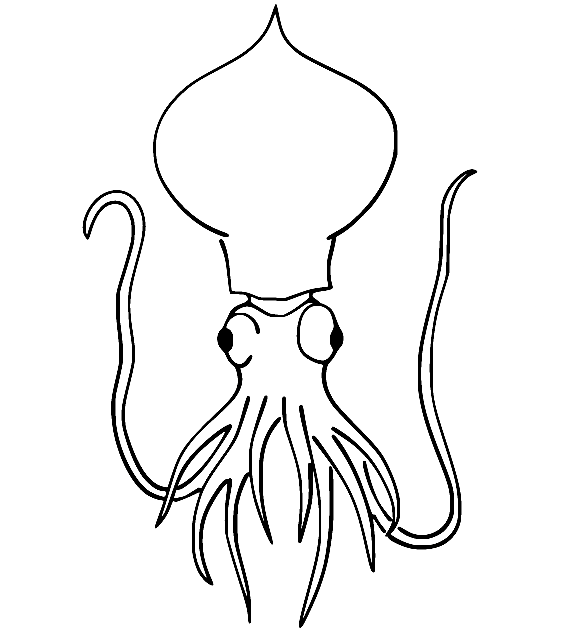 Veined Squid Coloring Page