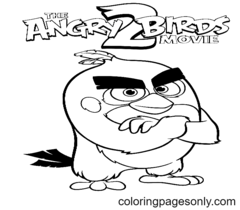 Páginas para colorir do filme Angry Birds