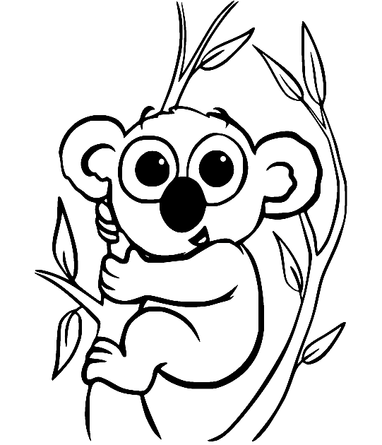 Baby Koala Holds the Branch Coloring Page