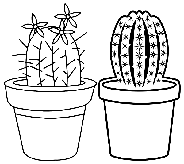 Magnifique pot de cactus en pot de fleurs