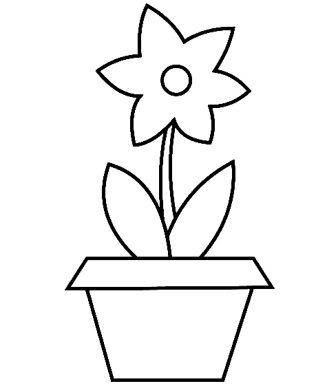 花盆里的简单花盆