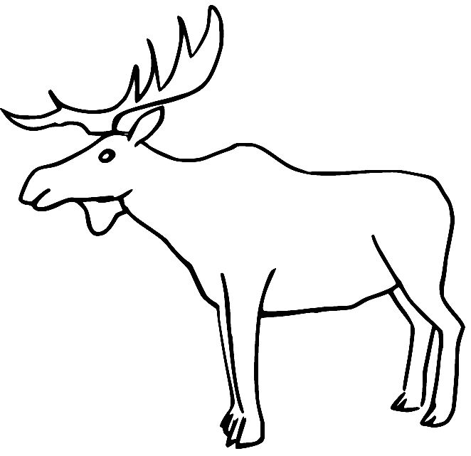 Easy Moose Coloring Page