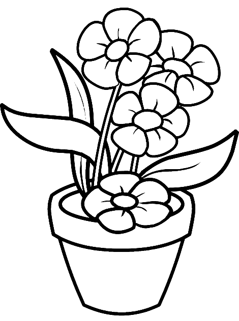52 Free Printable Flower Pot Coloring Pages