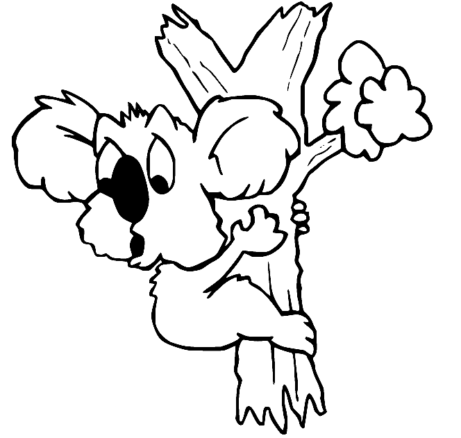 Funny Baby Koala Coloring Pages