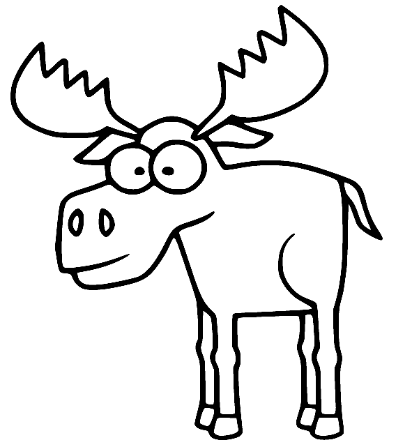 Moose 为孩子们准备的有趣驼鹿