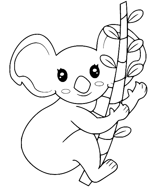 Koala Holds the Branch Coloring Pages