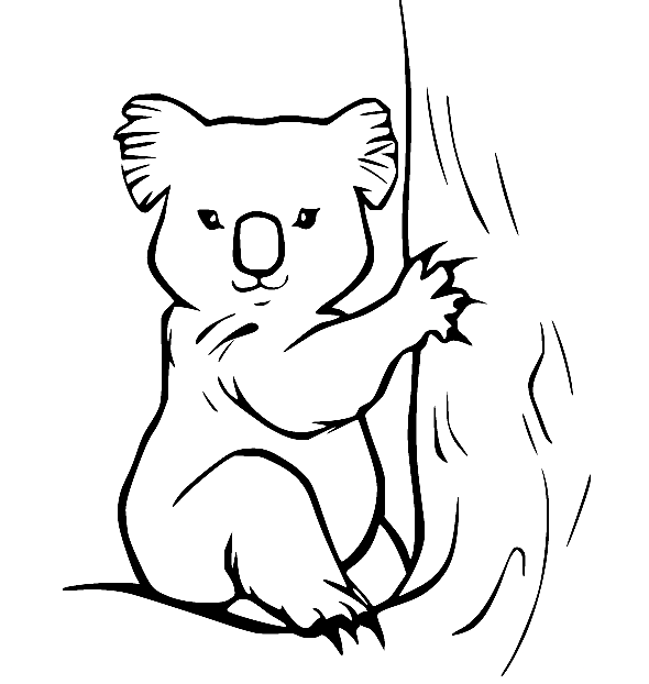Koala Sits on the Tree Coloring Page