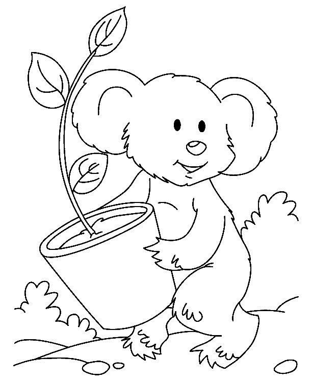 Koala for Kids Coloring Page