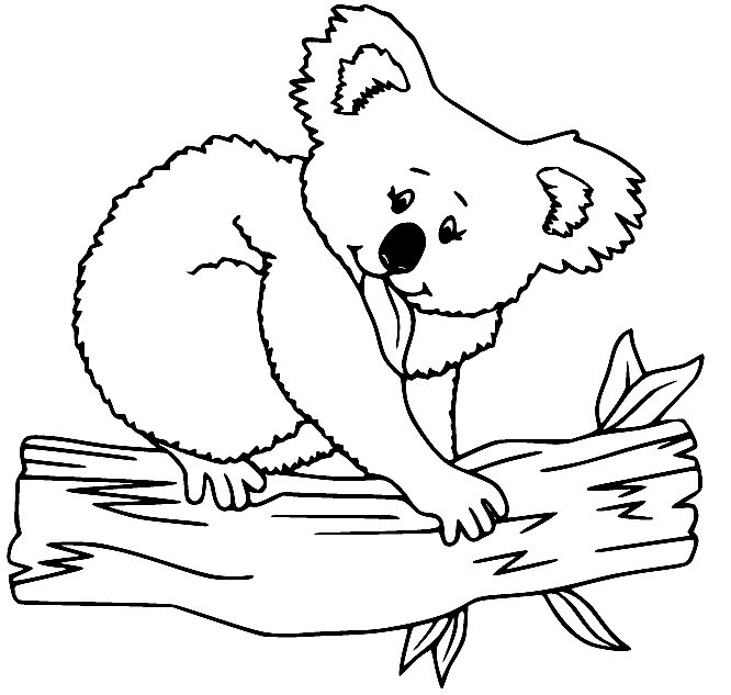 Koala on a Log Coloring Page