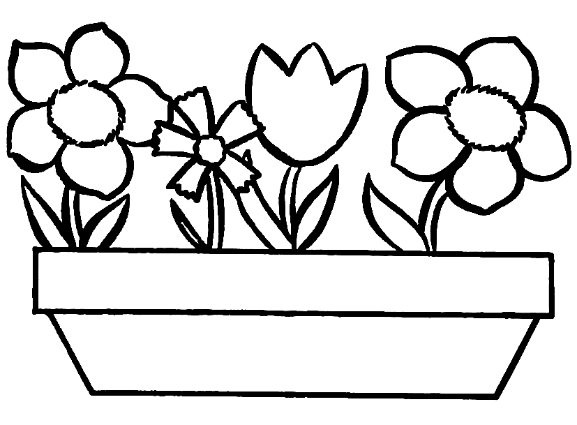 Long Flower Pot Coloring Page