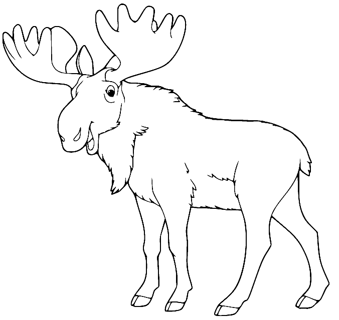 Moose Smiling Coloring Pages