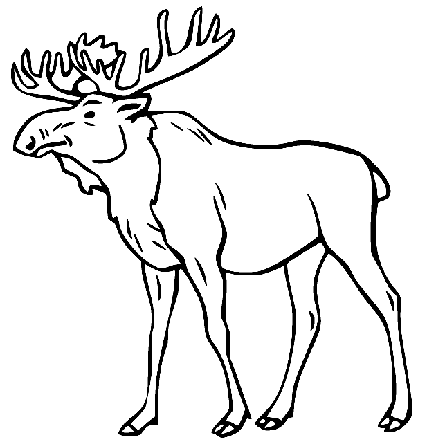 52 Moose Coloring Pages - ColoringPagesOnly.com