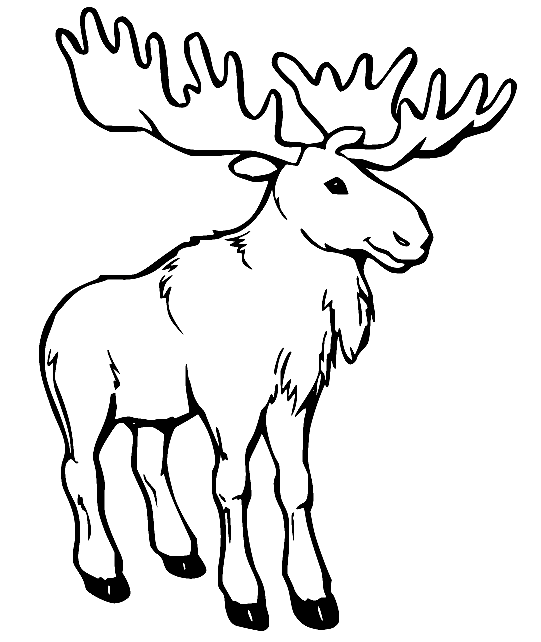 Moose Walking Coloring Pages