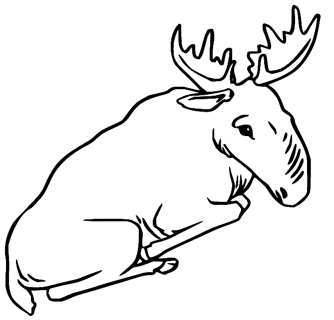 Moose on the Ground Coloring Page