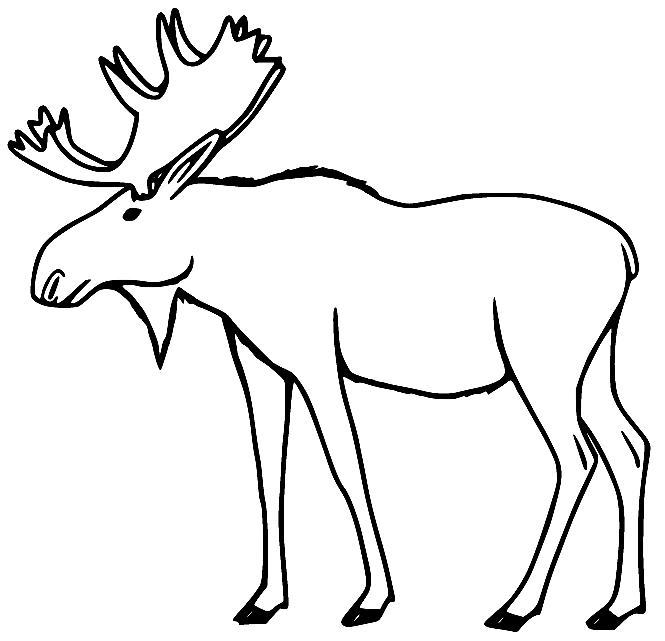 Print Moose Coloring Pages