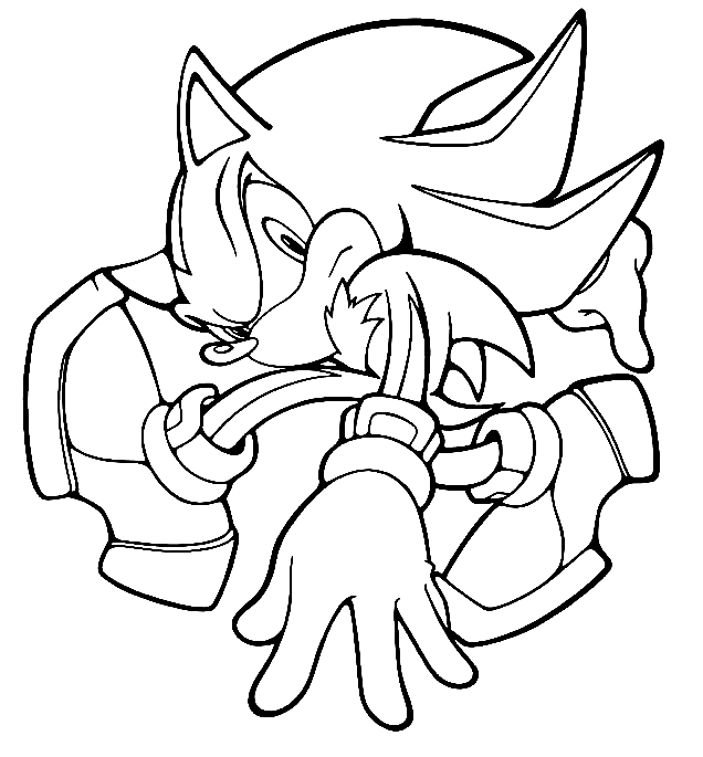 Print Shadow The Hedgehog Coloring Page