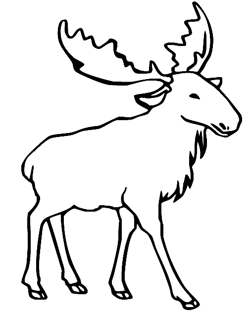 Simple Realistic Moose Coloring Page