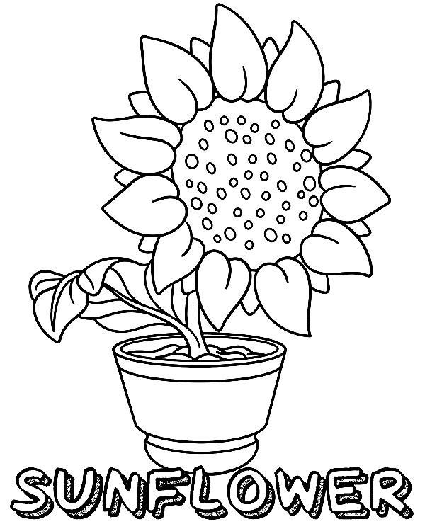 Sunflower Pot Coloring Page