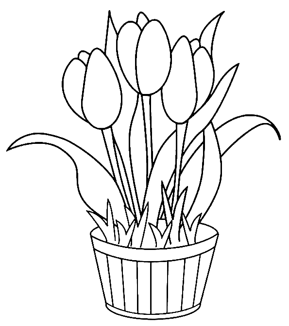 Tulips Flower Pot Coloring Pages